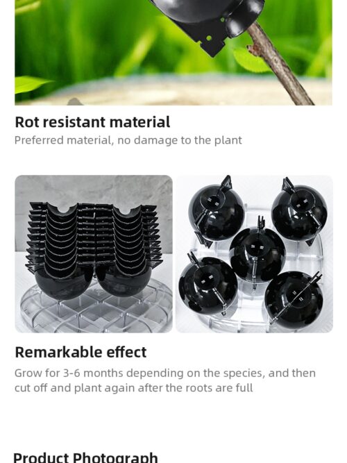 Caja de cultivo de bolas para obtención de esquejes. Propaga las raíces de un nuevo esqueje en la planta. Reutilizable. 10 piezas - Image 4
